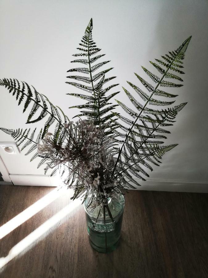 Les Insolites De Champeix Kültér fotó